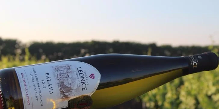 Zážitkové poznání Valtického Podzemí s degustací vín ANNOVINO LEDNICE