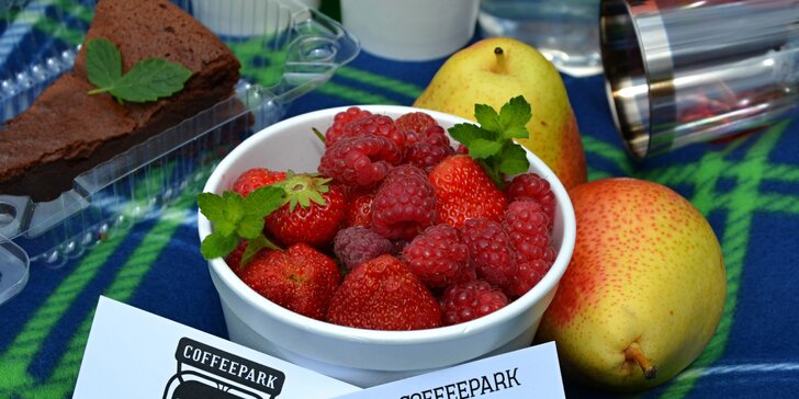 Piknik v Riegráčích: Bezlepkové zákusky a quiche, ovoce i deka na sezení