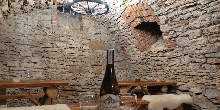Večer můžete posedět ve vinárně a milovníky piva potěší samoobslužný výčep.