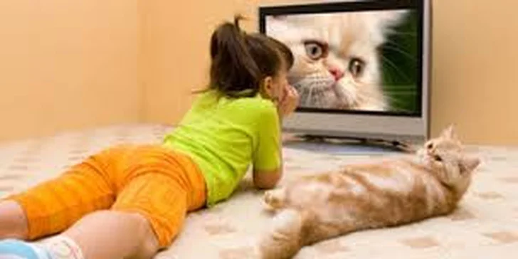 Televizní programy pro celou rodinu - instalační balíčky vč. práce technika