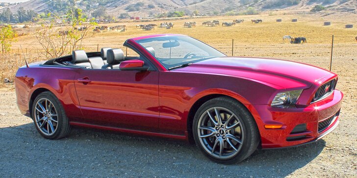 S větrem ve vlasech: Zapůjčení vínového kabrioletu Ford Mustang V6 na celý den