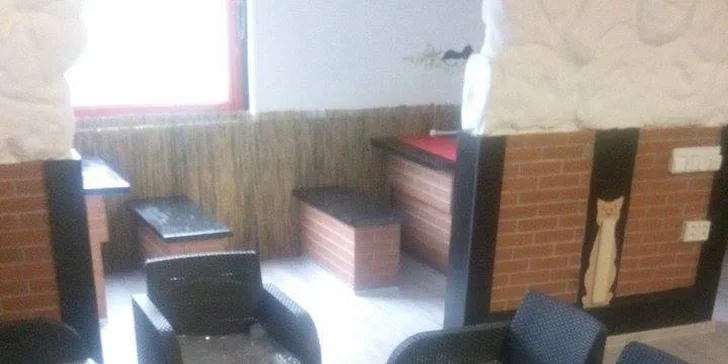 Svěží letní drinky ve společnosti koček