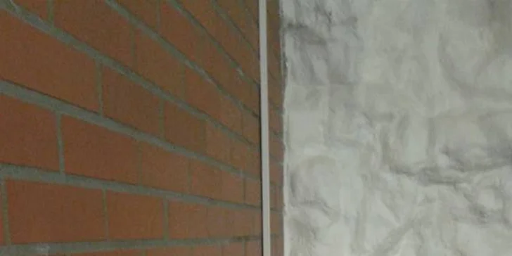 Svěží letní drinky ve společnosti koček