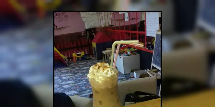 Svěží letní drinky ve společnosti koček