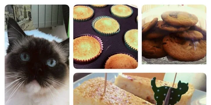Chvilka na drbání: Voňavá káva, domácí dezert a kočička na klíně