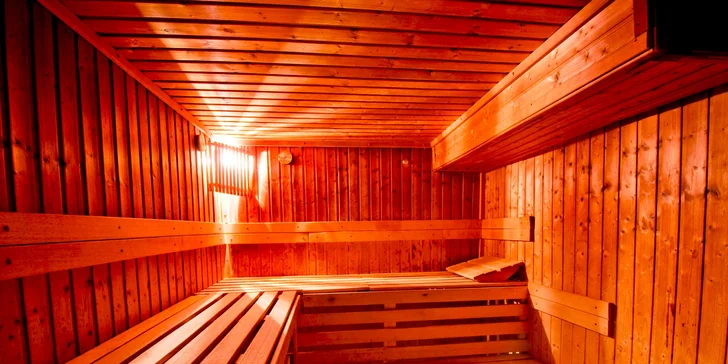 Léto na Seneckých jezerech s neomezeným wellness + 2 děti do 12 let zdarma