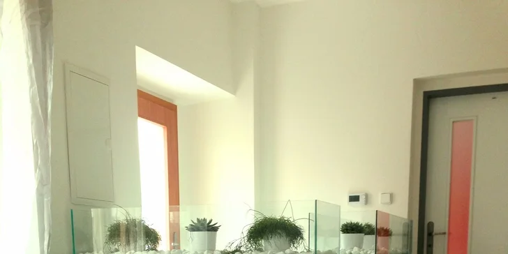 Dvě lekce jógy, pilates či meditace ve studiu YOGAPLANET