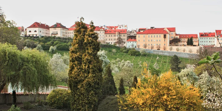 Dva koktejly Cuba Libre v tréninkové kavárně Garden café Taussig