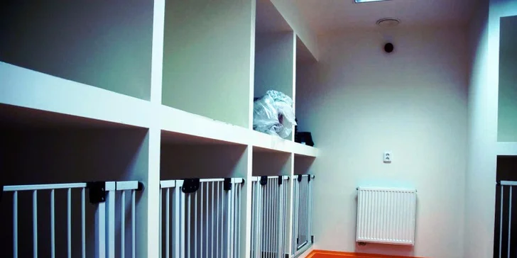 Ubytování v pětihvězdičkovém psím hotelu pro malé i větší hafany