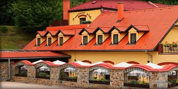 Pohodový pobyt v krásné přírodě na Nemojanském mlýně - koně, hřiště i biotop