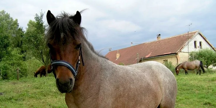 Báječná jarní dovolená na pravé farmě přímo u Lipna s polopenzí