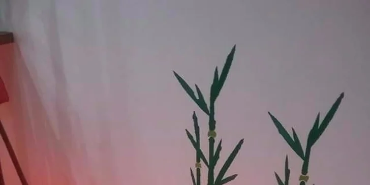 Thajská olejová terapeutická masáž celého těla pro jednotlivce i pár