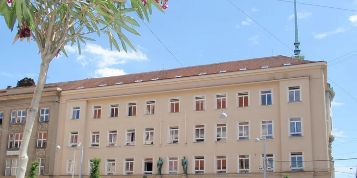 Anglicky až 4x rychleji s Callanovou metodou!