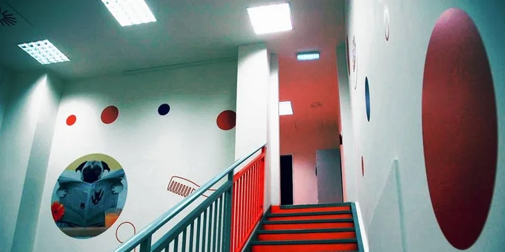Ubytování v pětihvězdičkovém psím hotelu pro malé i větší hafany