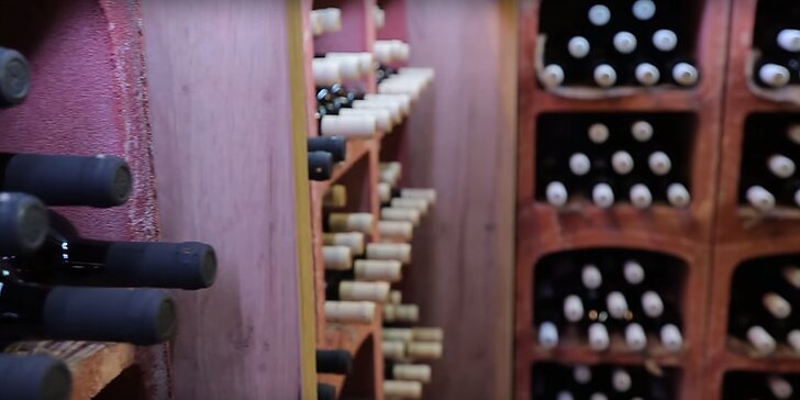 Neomezená vinná degustace moravských vín a sektů vč. možnosti občerstvení