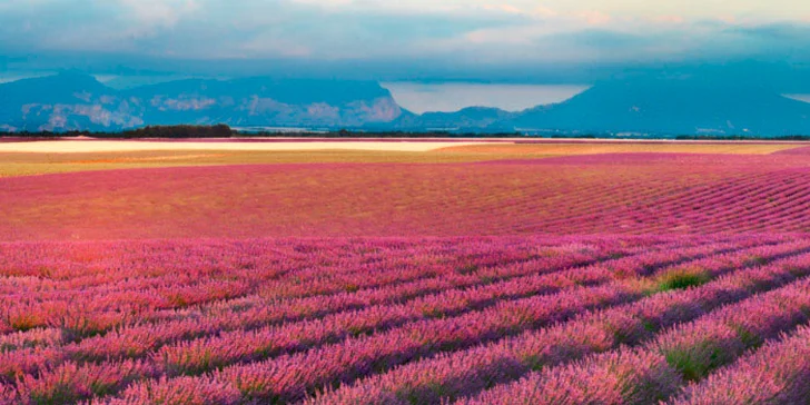 Za krásami Francie: Provence, Marseille, ostrov If i Cannes vč. snídaně