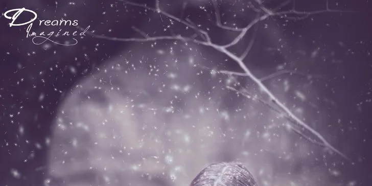 Tematické focení s "vlky" nebo s vlastním zvířátkem vč. vizáže