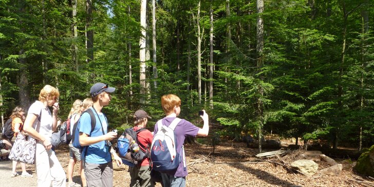 Výlet do Národního parku Bavorský les včetně vstupu na stezku v korunách stromů