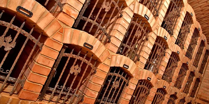 Třídenní pobyt na jižní Moravě: Snídaně i pobyt ve sklípku s degustací vín
