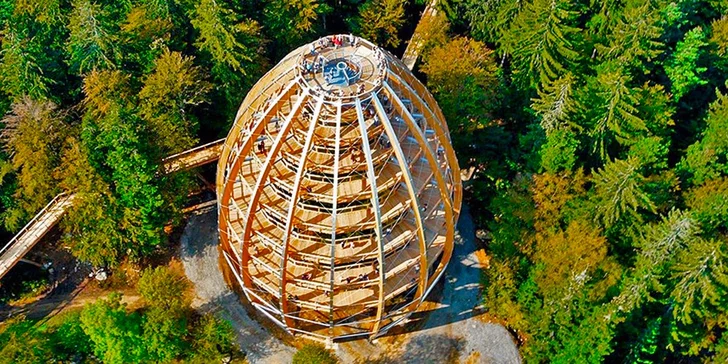 Výlet do Národního parku Bavorský les včetně vstupu na stezku v korunách stromů
