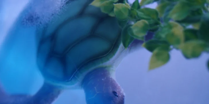 Navštivte voskové figuríny v muzeu Grévin a dejte si drink v Ice Pubu