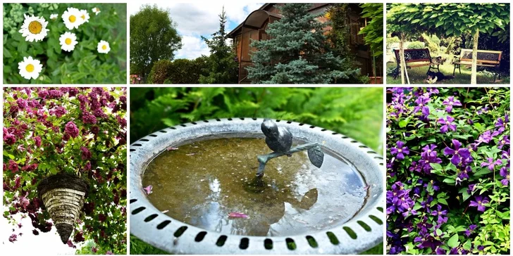 Focení v exteriéru nebo v pohodlí vašeho domova v Praze