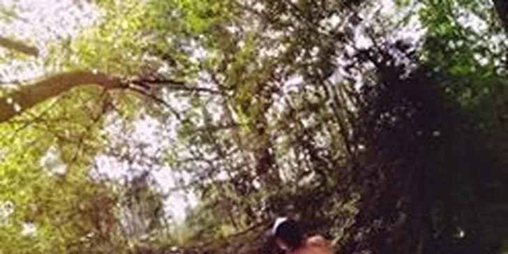 Zdolejte českou Amazonku: 2-3 hodiny s paddleboardem na řece Ploučnici