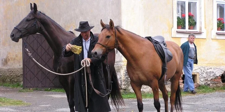 Hodinová procházka s koníkem, výuka na jízdárně či vyjížďka do přírody