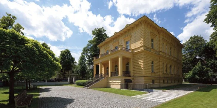 Jednorázový vstup nebo celoroční permanentka do Galerie Villa Pellé