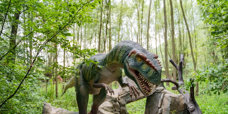 Mezi stromy uvidíte více než 100 různých exponátů.