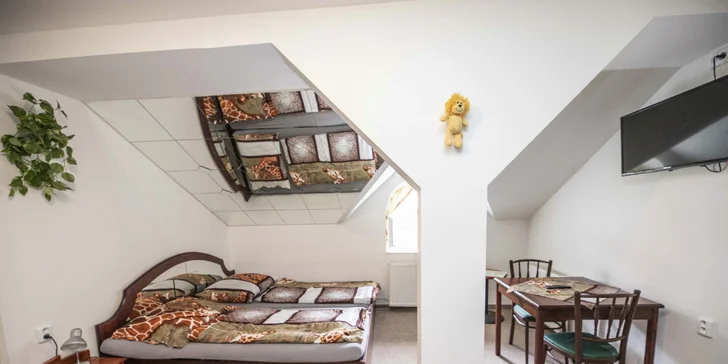  Apartmány jsou pro 2 až 8 osob (apartmán Alex).