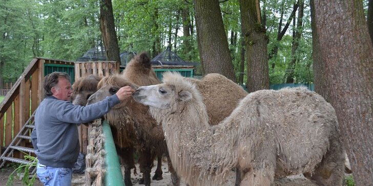 Berousek Zoopark Doksy: udělejte si výlet za mláďaty šelem, velbloudy i klokany