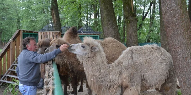 Berousek Zoopark Doksy: udělejte si výlet za mláďaty šelem, velbloudy i klokany