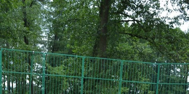 Berousek Zoopark Doksy: udělejte si výlet za mláďaty šelem, velbloudy i klokany