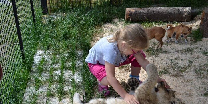 Berousek Zoopark Doksy: udělejte si výlet za mláďaty šelem, velbloudy i klokany