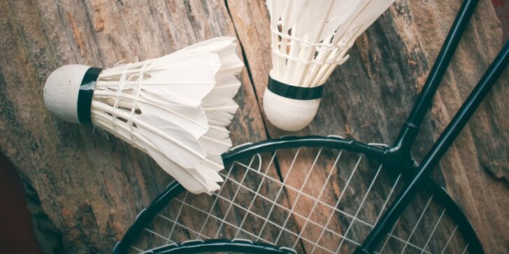 Hodina badmintonu ve Sportovním klubu Troja