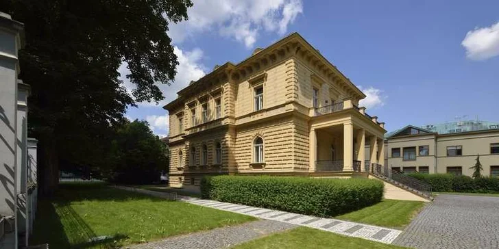 Jednorázový vstup nebo celoroční permanentka do Galerie Villa Pellé