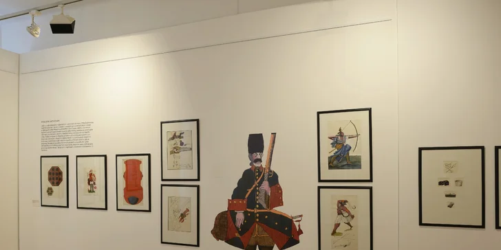 Jednorázový vstup nebo celoroční permanentka do Galerie Villa Pellé