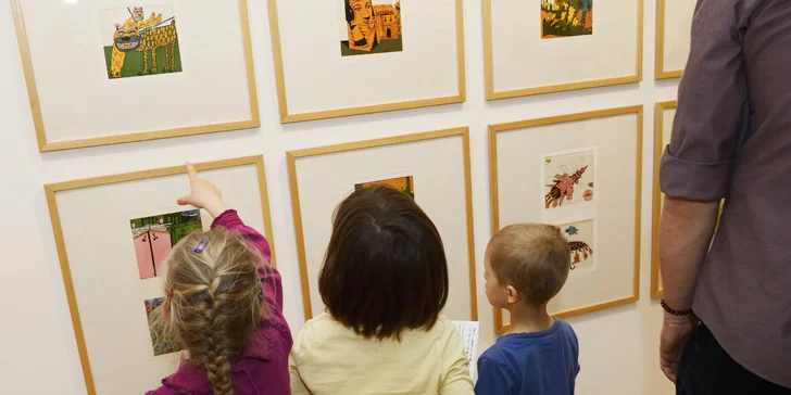 Jednorázový vstup nebo celoroční permanentka do Galerie Villa Pellé