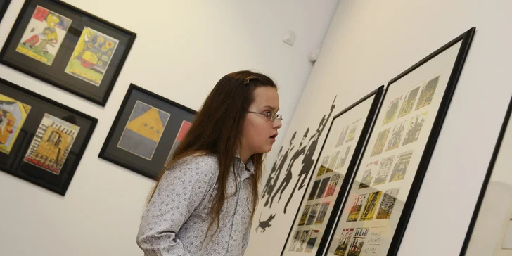 Jednorázový vstup nebo celoroční permanentka do Galerie Villa Pellé