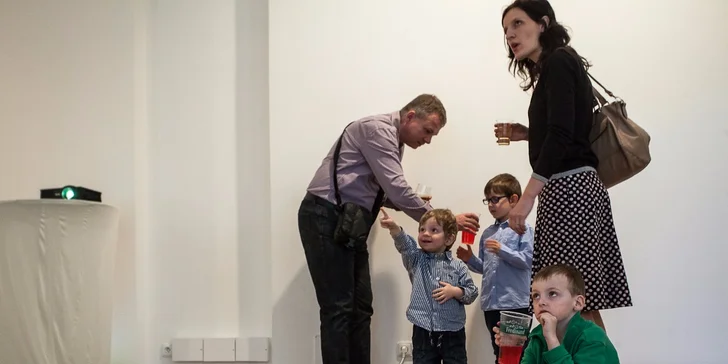 Jednorázový vstup nebo celoroční permanentka do Galerie Villa Pellé