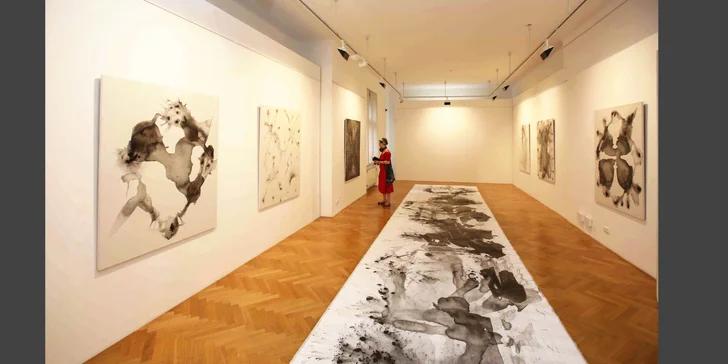 Jednorázový vstup nebo celoroční permanentka do Galerie Villa Pellé