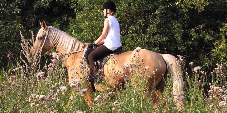 Hodinka na koňském hřbetu - výuka na jízdárně či vyjížďka do přírody