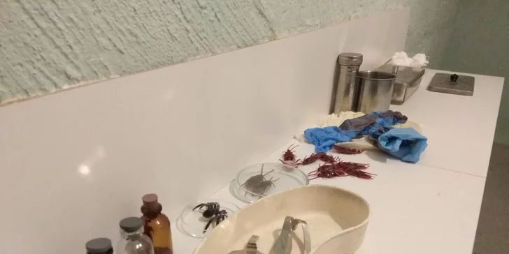 Čakajú vás rôzne rébusy a šifry