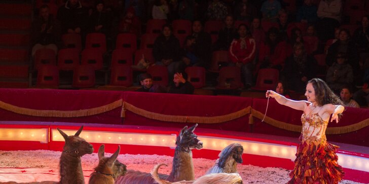 Užijte si pořádnou show cirkusu Bernes: 17 termínů v Řepích