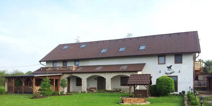 Hodina v sedle: Příprava koně i vyjížďka po okolí nebo v jízdárně
