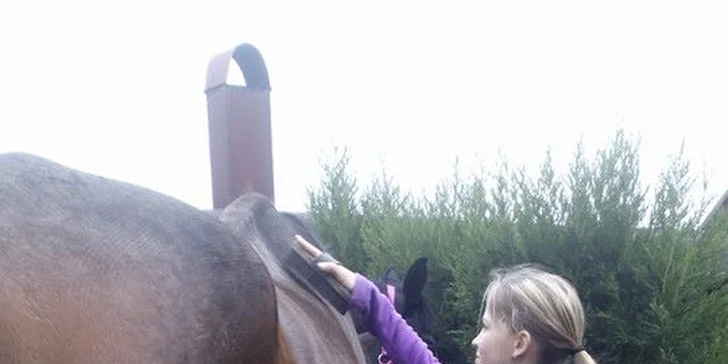 Hodina v sedle: Příprava koně i vyjížďka po okolí nebo v jízdárně