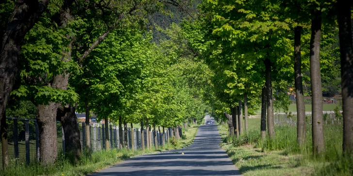 3denní pobyt v rodinném penzionu na Bludovečku vč. chutné polopenze