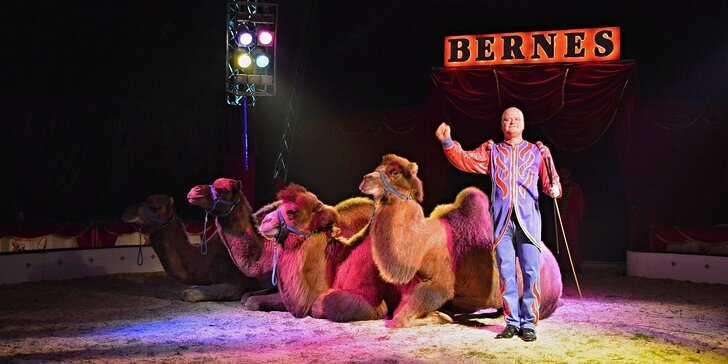 Račte vstoupit do šapitó - vstupenky na velkolepou show cirkusu Bernes