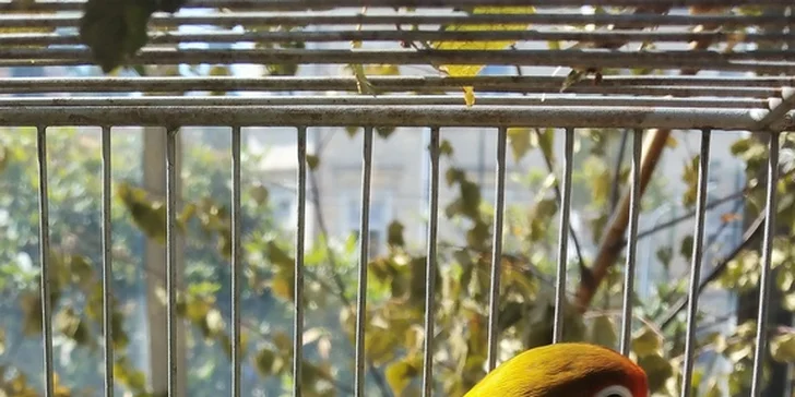 Vstupné na výstavní a prodejní teraristickou burzu TERRABAZAR